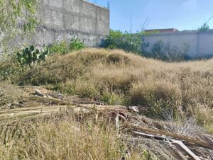 Terreno en Venta en Actopan Hidalgo.